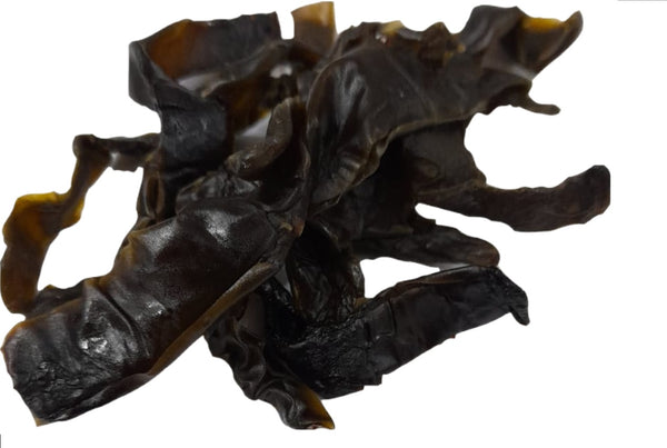 Nopal